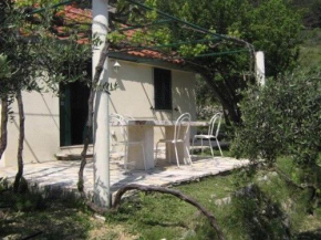  House Cvitanic  Бол